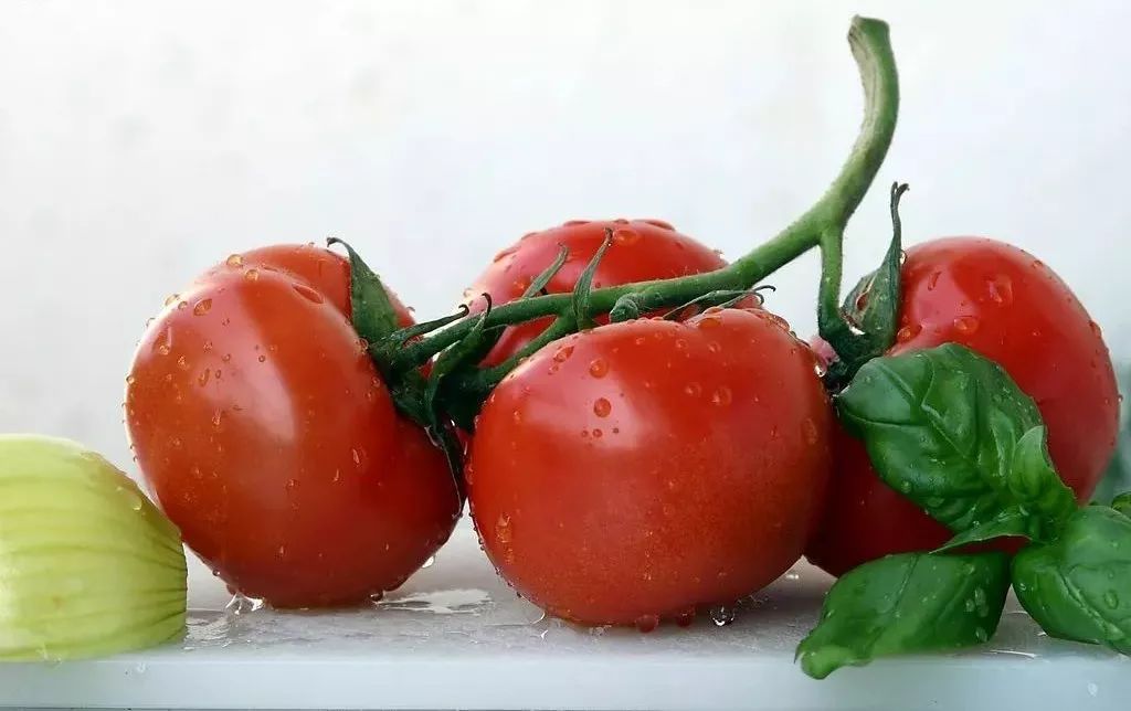 每天吃西红柿能美白吗？